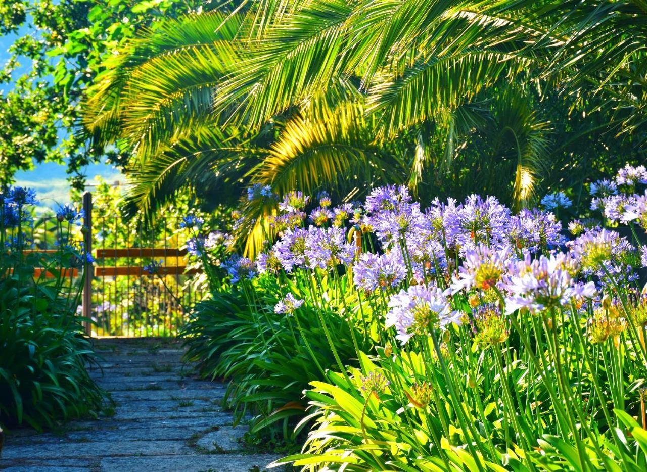Quinta De San Amaro Rias Baixas Ξενοδοχείο Meaño Εξωτερικό φωτογραφία