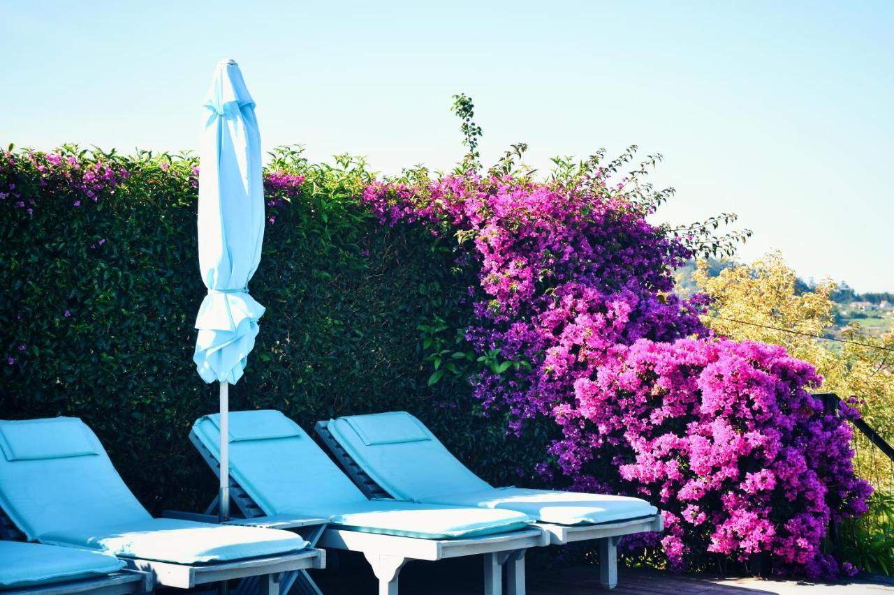 Quinta De San Amaro Rias Baixas Ξενοδοχείο Meaño Εξωτερικό φωτογραφία